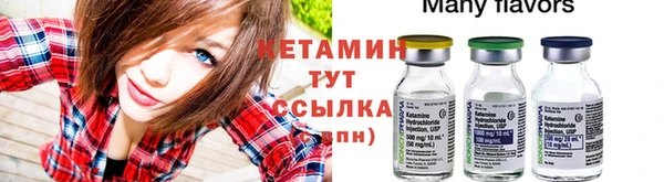 твердый Бородино