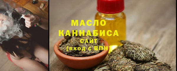 твердый Бородино