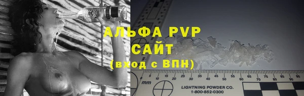 твердый Бородино