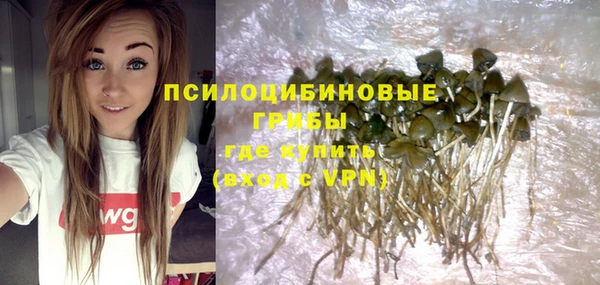 твердый Бородино