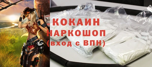 твердый Бородино