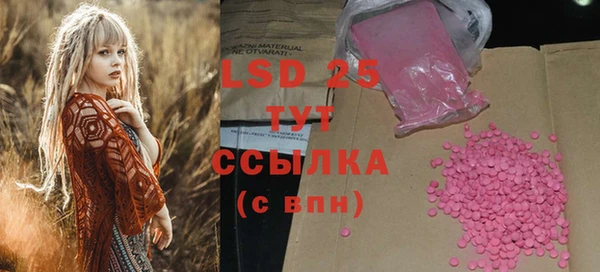 твердый Бородино