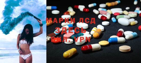 твердый Бородино