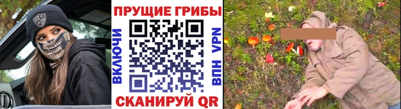 Псилоцибиновые грибы GOLDEN TEACHER  Купить закладки  Бабаево 